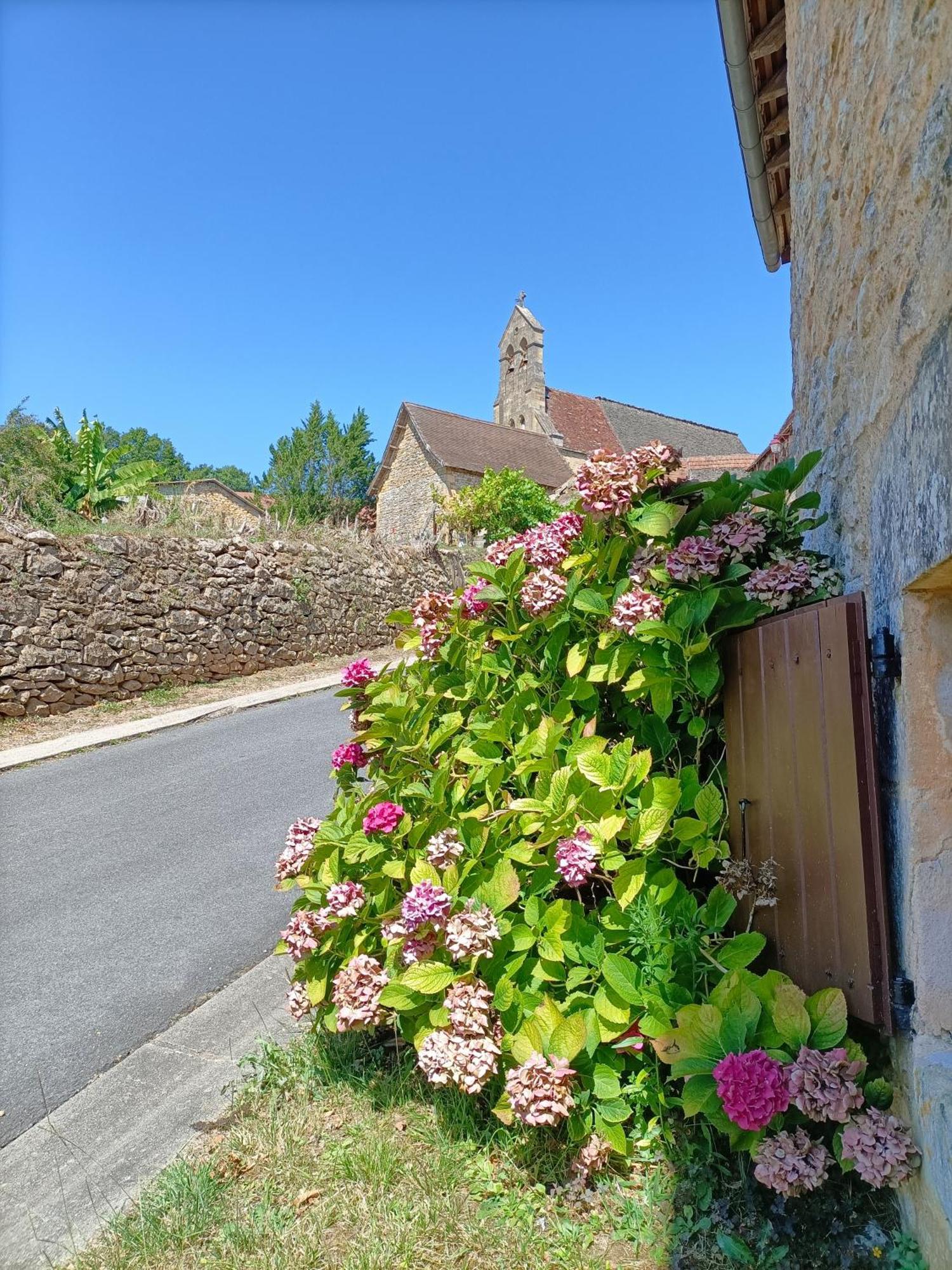 Maison Typique Avec Piscine Privee - 6Km Sarlat Saint-Andre-d'Allas Extérieur photo
